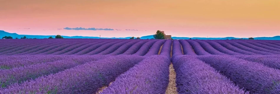 Plateau de Valensole