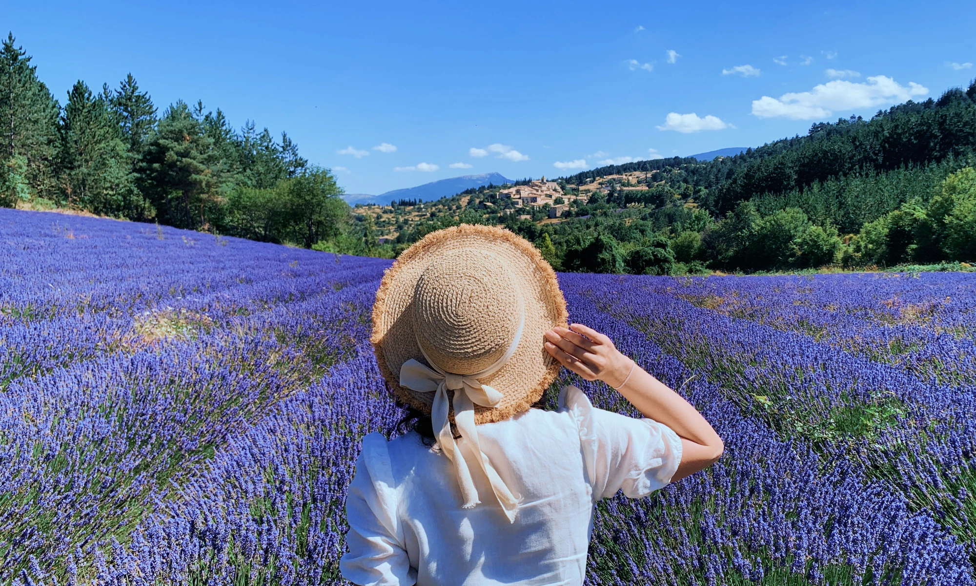 Provence - Header