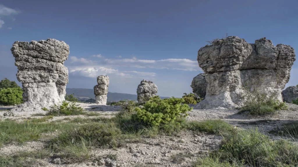 Sortie nature insolite aux Mourres